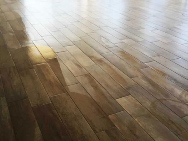 Wood Look Planks